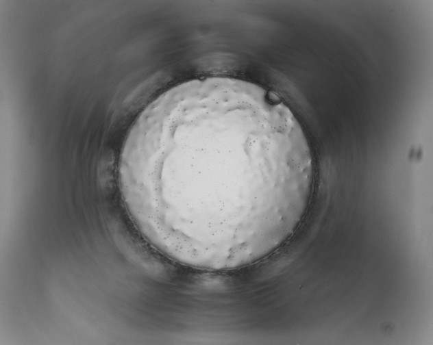 X0000111250073200907161415