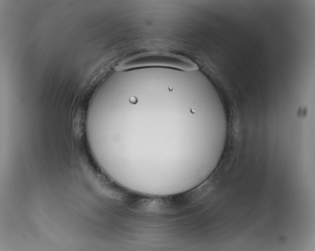 X0000111250074200907161415