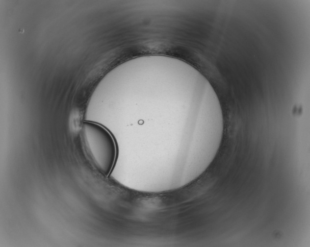 X0000111250075200907161415