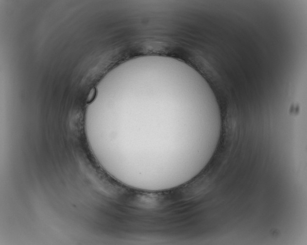 X0000111250079200907161415