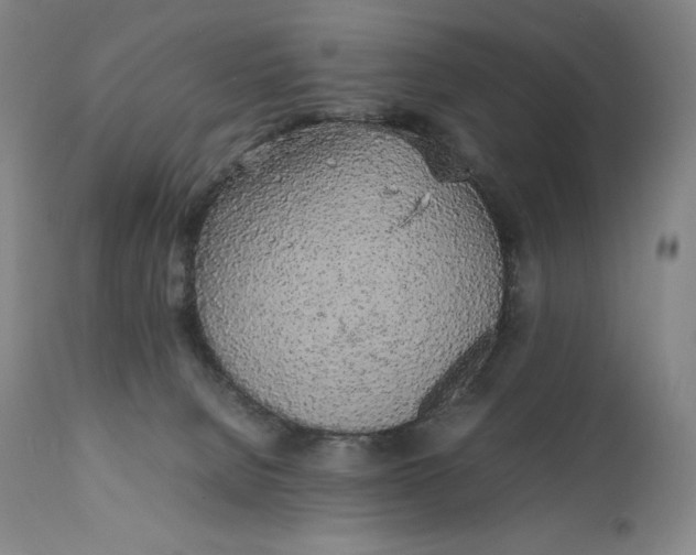 X0000111250080200907161415