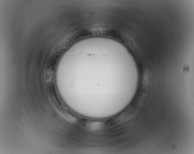 X0000111250081200907161415