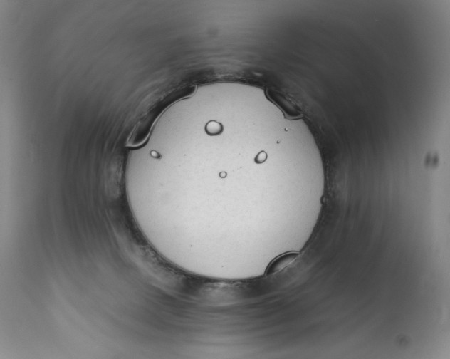 X0000111250082200907161415