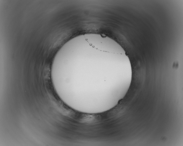 X0000111250083200907161415