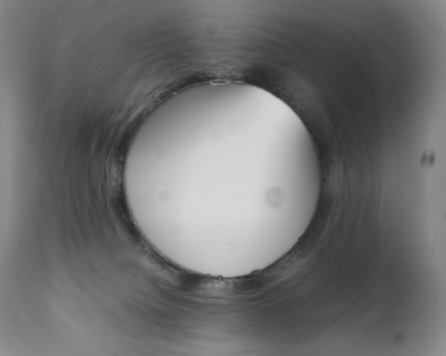 X0000111250084200907161415