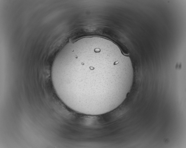 X0000111250085200907161415