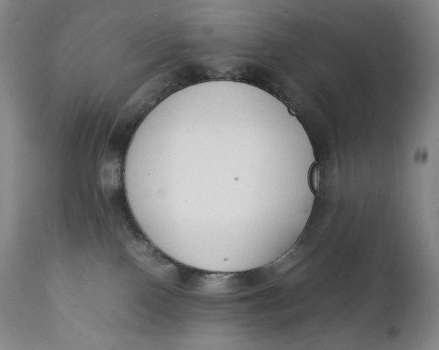 X0000111250090200907161415