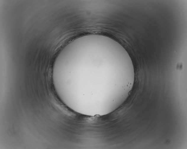 X0000111250092200907161415