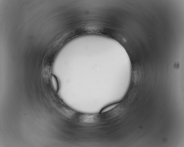 X0000111250093200907161415