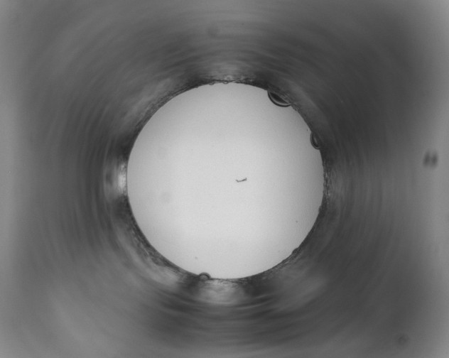 X0000111250095200907161415