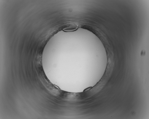 X0000111250096200907161415