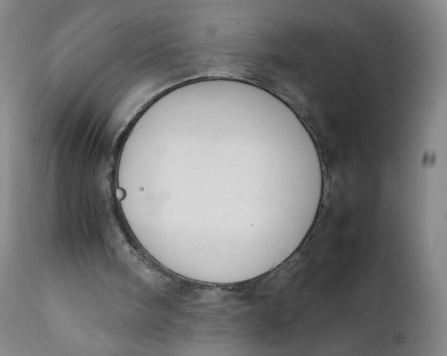 X0000111250098200907161415