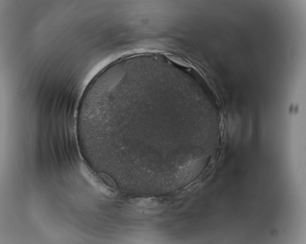 X0000111250100200907161415