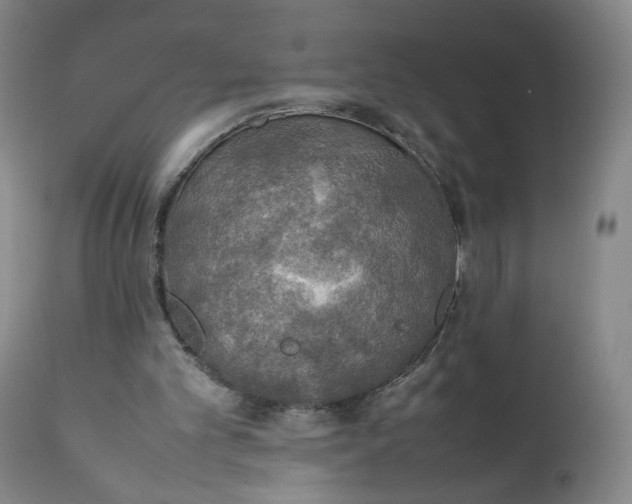 X0000111250101200907161415