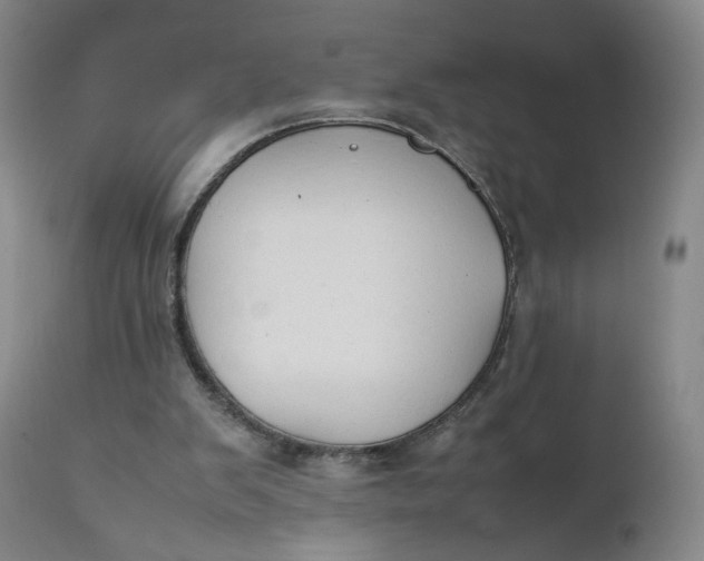 X0000111250103200907161415