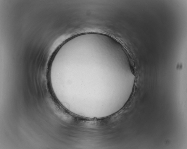 X0000111250104200907161415