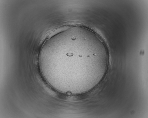 X0000111250105200907161415