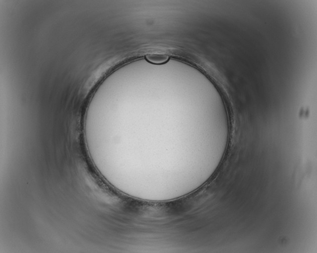 X0000111250107200907161415