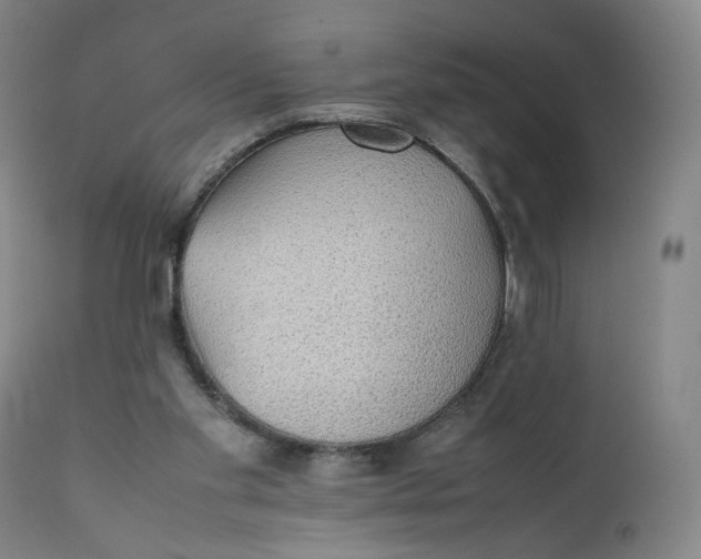 X0000111250109200907161415