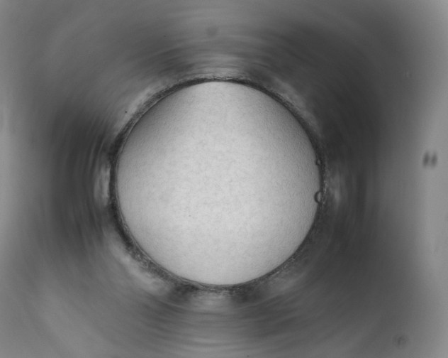 X0000111250110200907161415