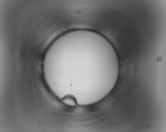 X0000111250111200907161415