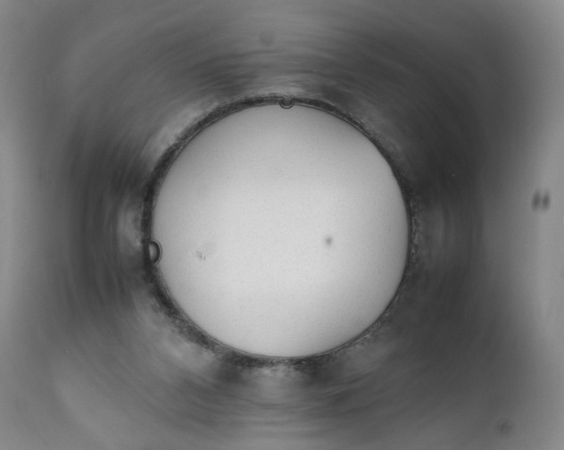 X0000111250112200907161414