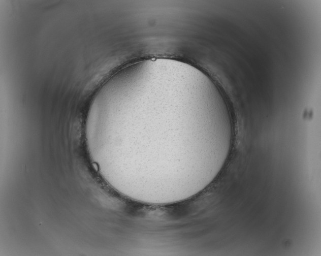 X0000111250113200907161414