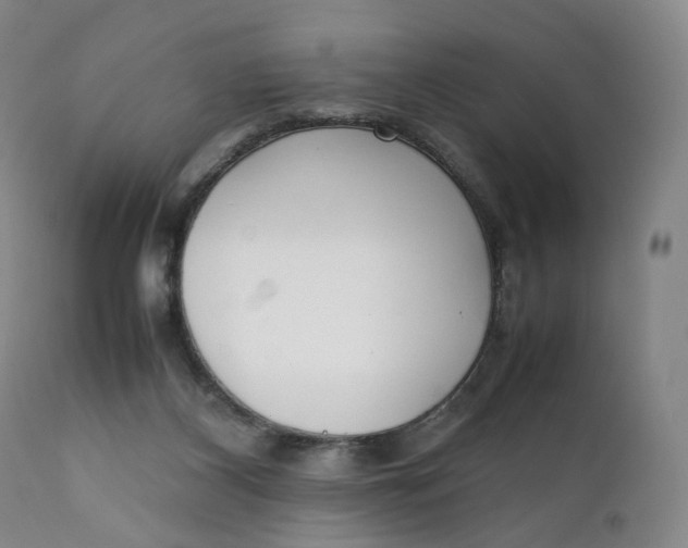 X0000111250116200907161414