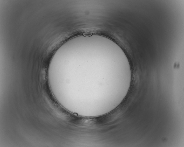 X0000111250117200907161414