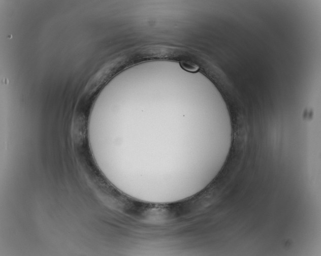 X0000111250119200907161414