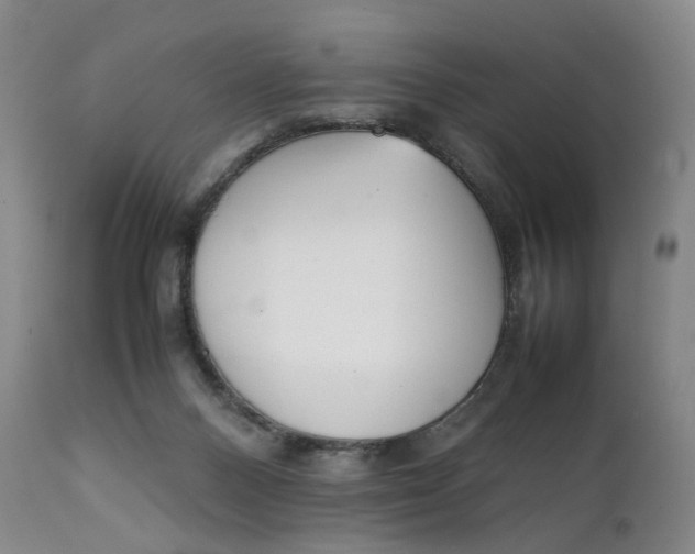 X0000111250120200907161414