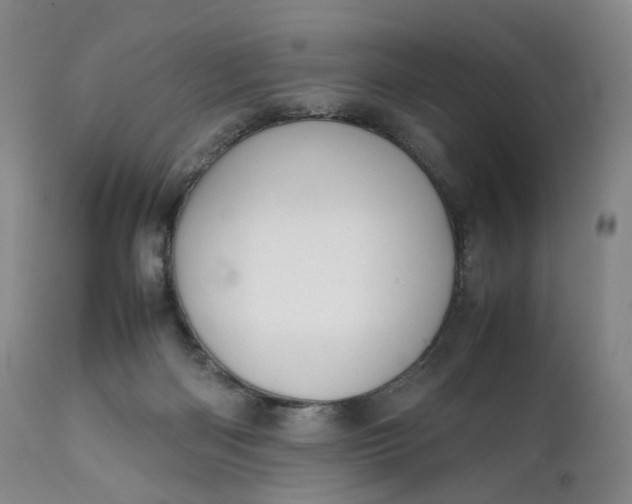 X0000111250122200907161414