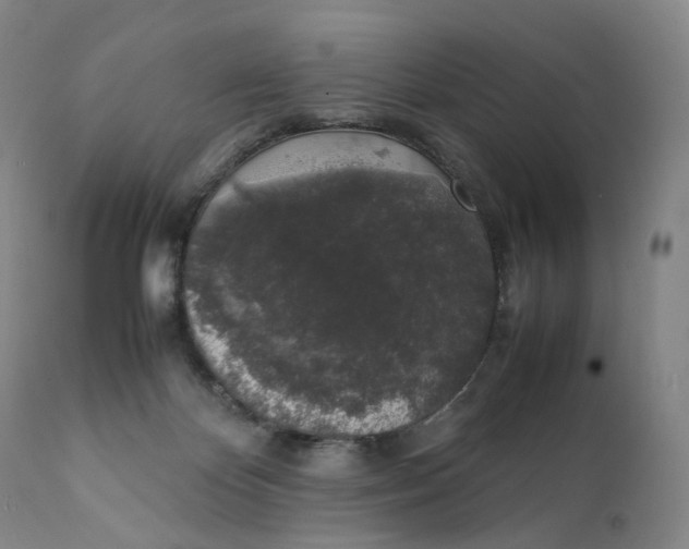 X0000111250124200907161414