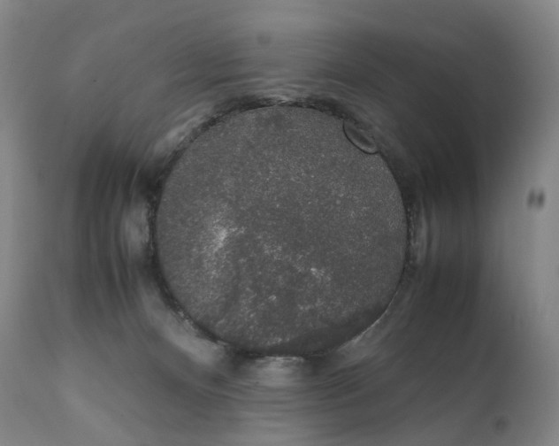 X0000111250128200907161414