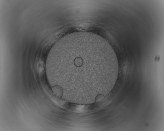 X0000111250130200907161414