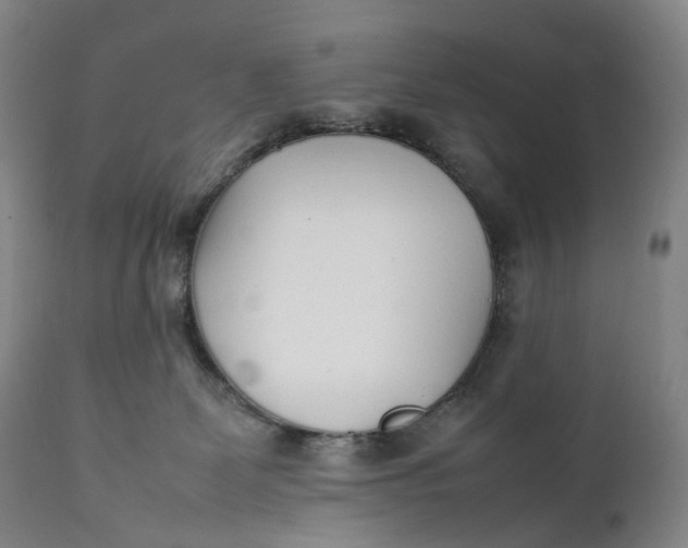 X0000111250131200907161414