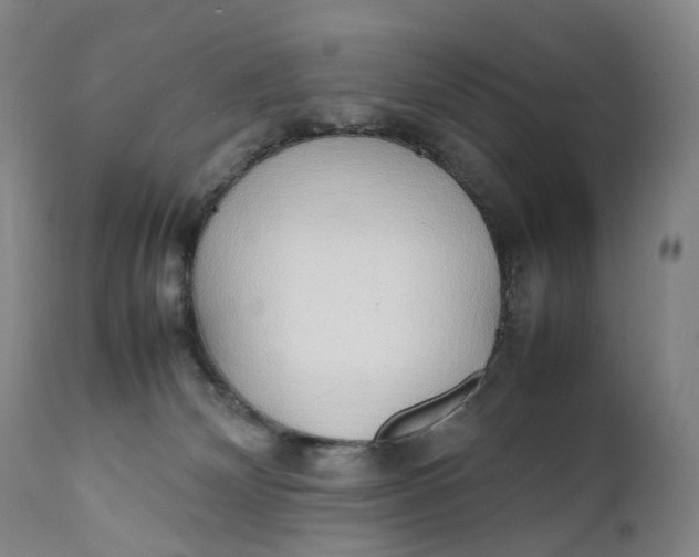 X0000111250132200907161414