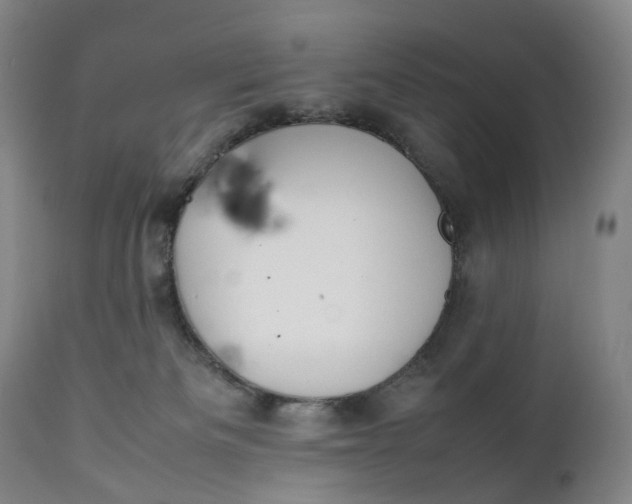 X0000111250133200907161414