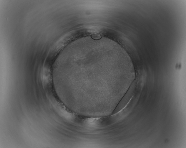 X0000111250136200907161414