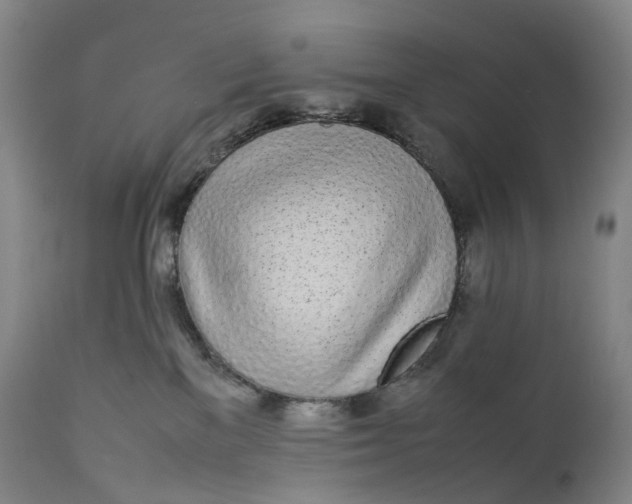 X0000111250137200907161414