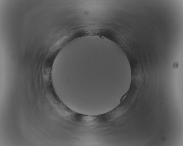 X0000111250139200907161414