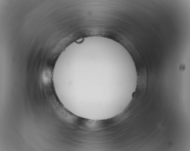 X0000111250142200907161414