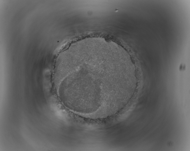 X0000111250144200907161414