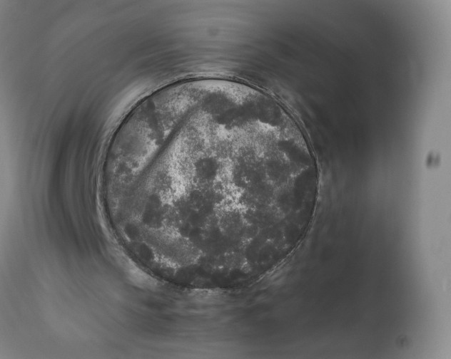 X0000111250145200907161413