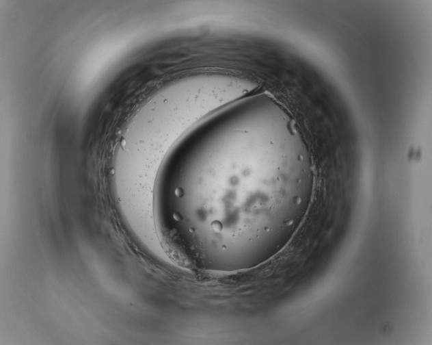 X0000111250146200907161413