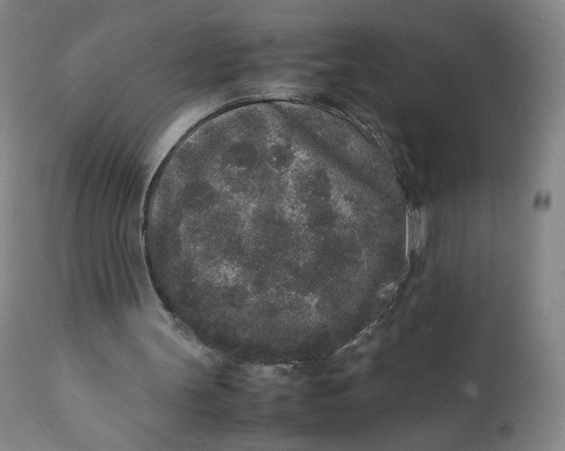 X0000111250147200907161413