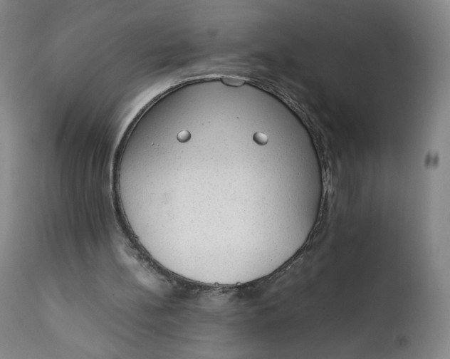 X0000111250148200907161413