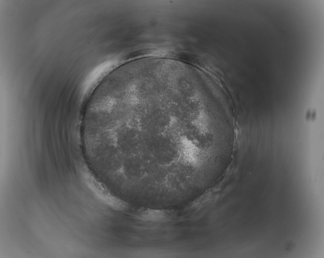 X0000111250149200907161413