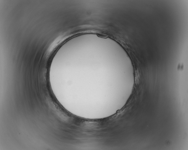 X0000111250150200907161413