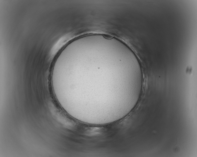 X0000111250151200907161413